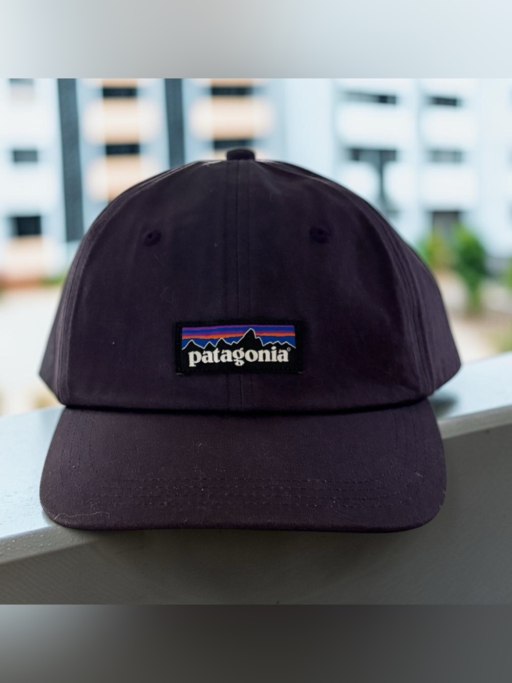 Patagonia Deep Purple Classic Logo Baseball Cap